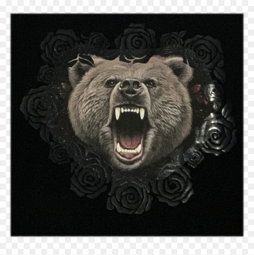 Grizzly Bear, HD Png Download - angry bear png