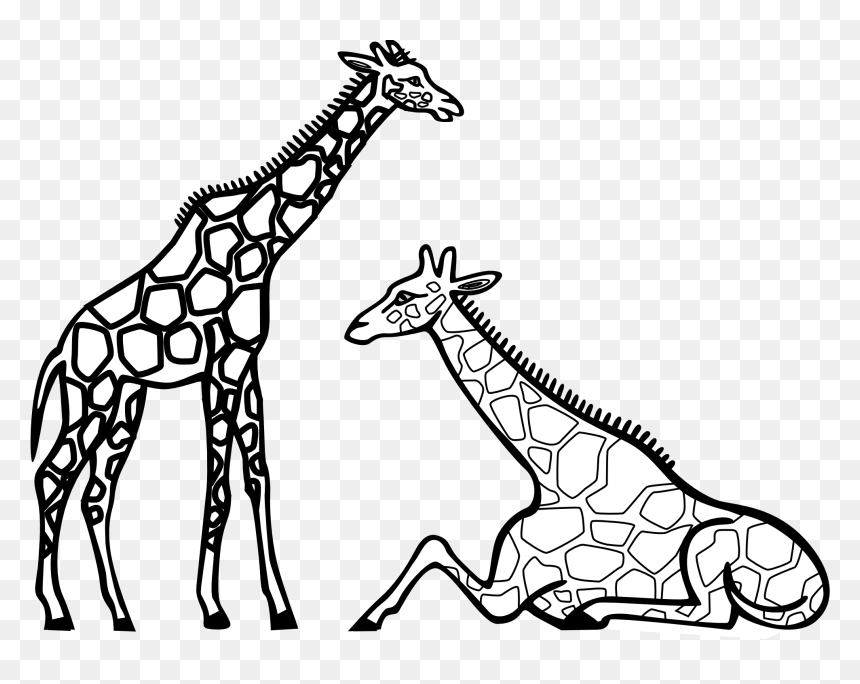 Giraffes Black And White, HD Png Download - giraffe clipart png