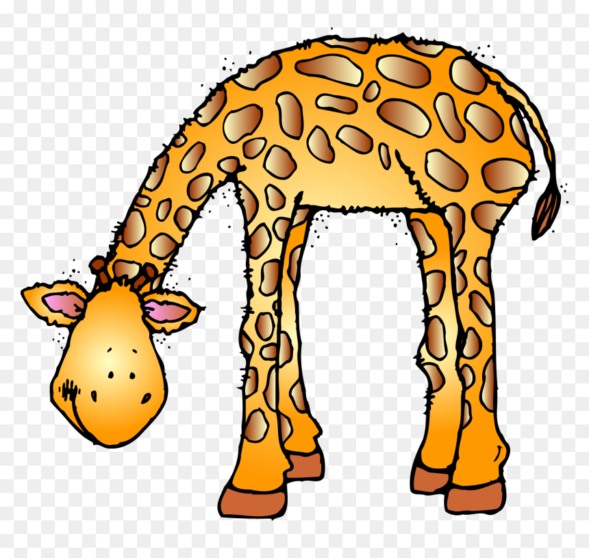 Zoo Animal Clipart, HD Png Download - giraffe clipart png