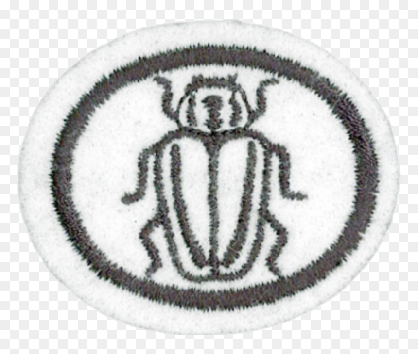 Especialidade De Insetos Desbravadores, HD Png Download - insects png