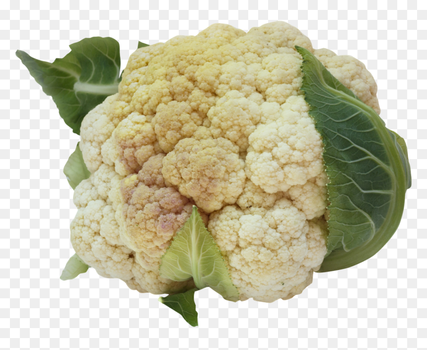 Cauliflower Png Image - Cauliflower Purepng, Transparent Png - cauliflower png