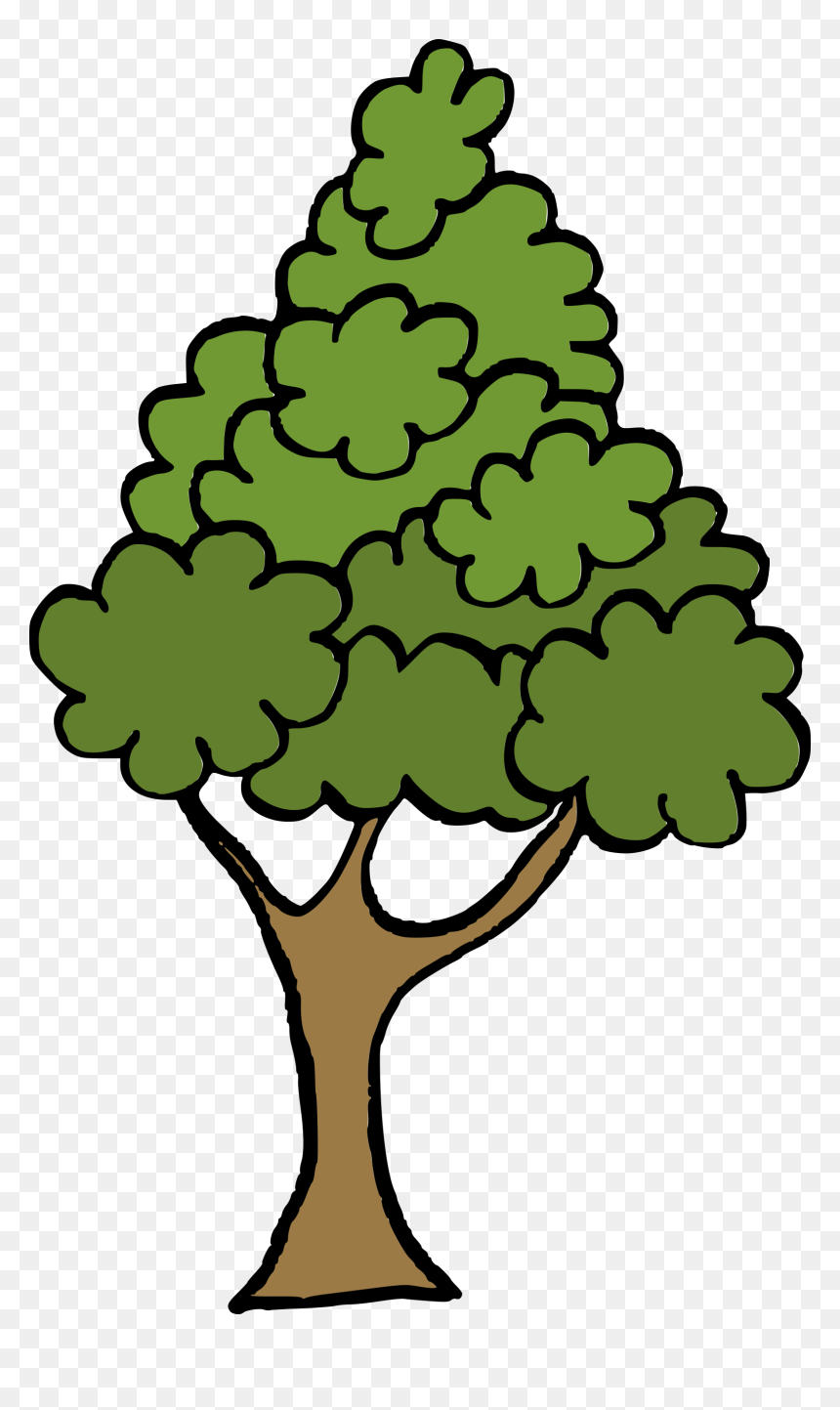 Cartoon Tree 6, HD Png Download - tree png cartoon