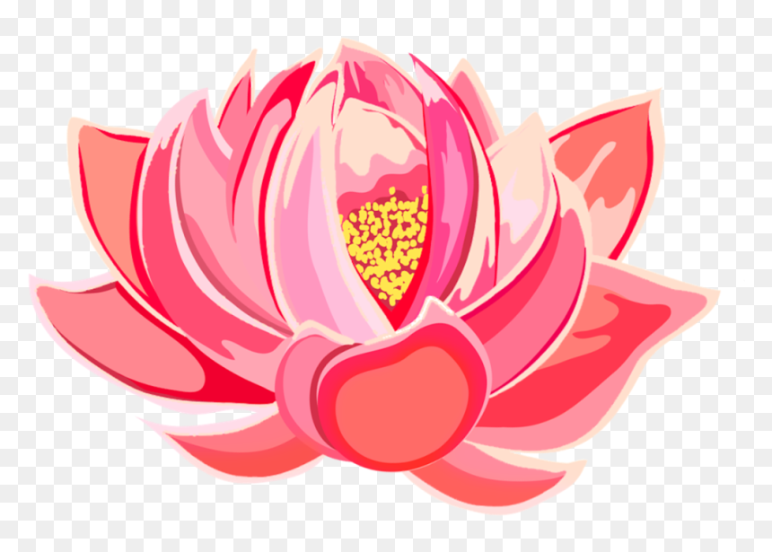 Flower - Sacred Lotus, HD Png Download - fire flower png