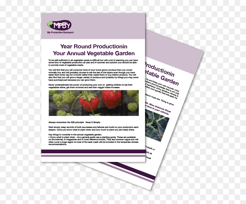 The Annual Vegetable Garden Module - Flyer, HD Png Download - vegetable garden png