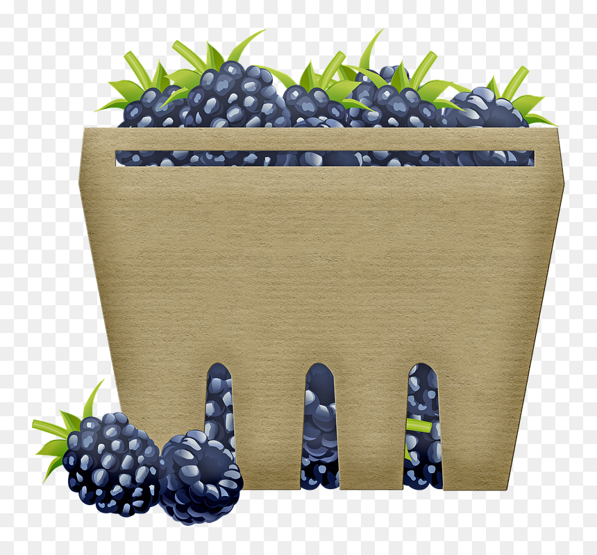 Blueberry, HD Png Download - blackberries png