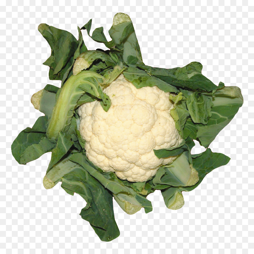 Cauliflower, HD Png Download - cauliflower png