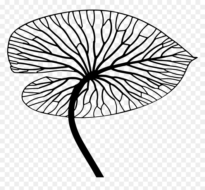 Detailed Leaf Line Art Clip Arts - วาด ภาพ ลาย เส้น ใบไม้, HD Png Download - leaf clip art png
