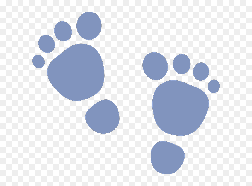 Baby Feet Clip Art, HD Png Download - step png