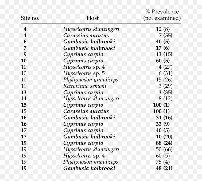 Human Cytokines Primer Sequences, HD Png Download - cuadricula png