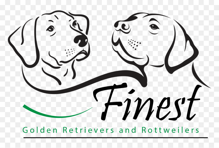 Finest Golden Retrievers And Rottweilers Is A Family - Paint Labrador Head, HD Png Download - family vector png