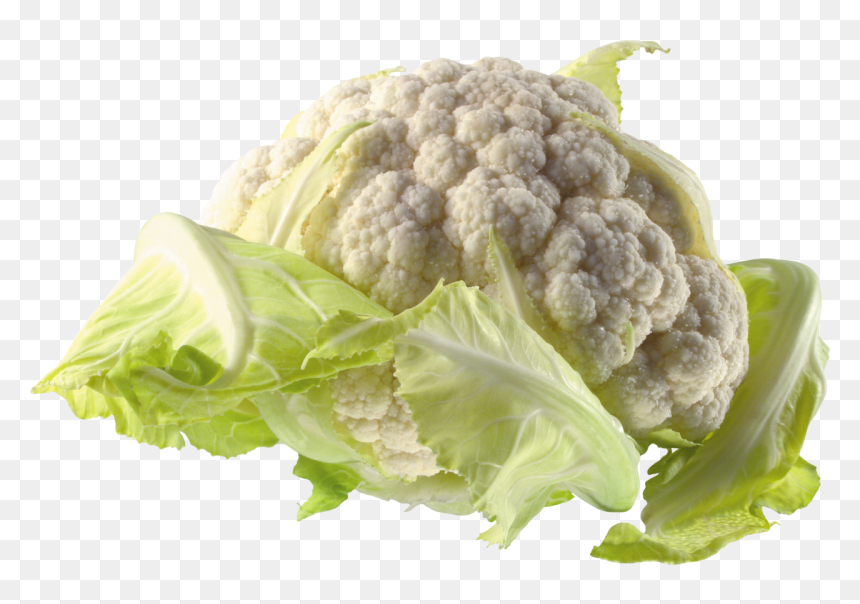 Cauliflower Png Image - Flower Cabbage Png, Transparent Png - cauliflower png
