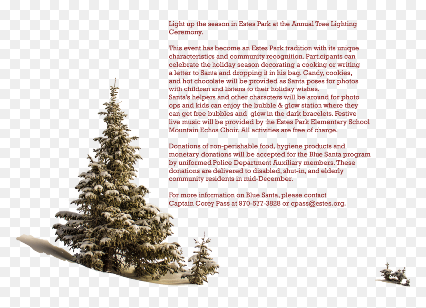 Picture - Christmas Tree, HD Png Download - christmas tree lights png