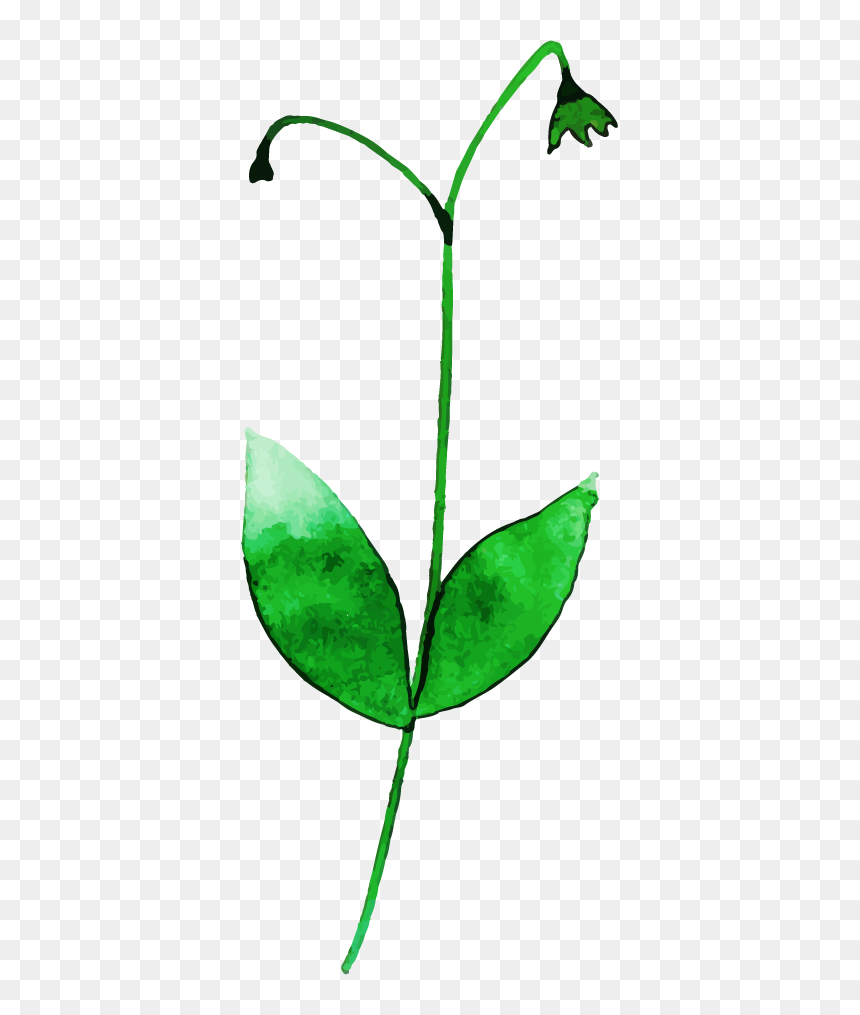 Illustration, HD Png Download - leaf clip art png