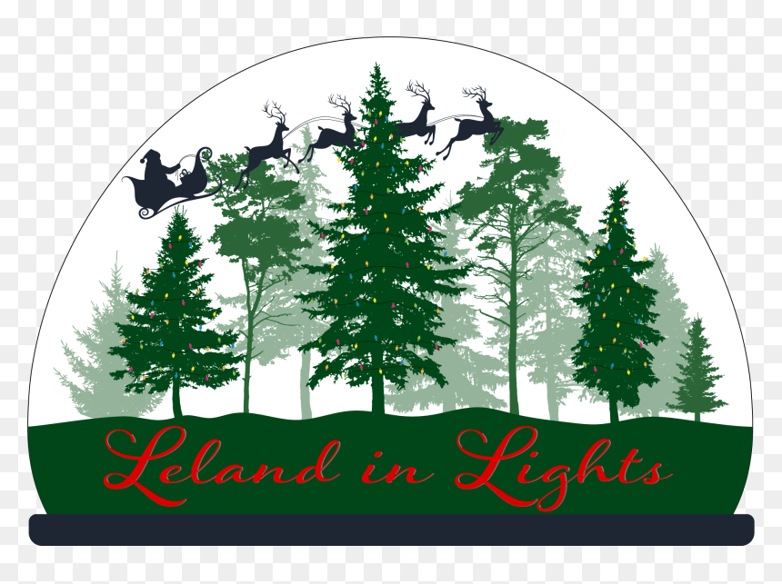 Pine Trees Vector, HD Png Download - christmas tree lights png