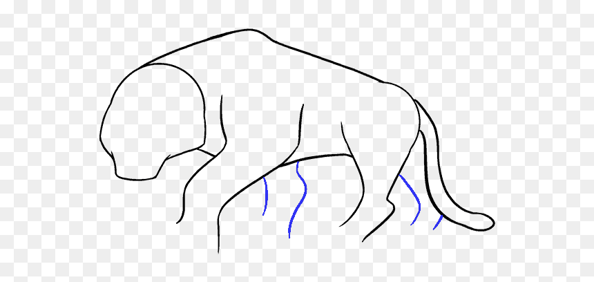How To Draw Cartoon Tiger - Sketch, HD Png Download - cartoon blunt png