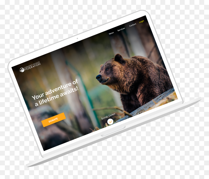 Wolverine, HD Png Download - wolverine animal png