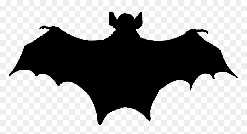 Bat Silouete, HD Png Download - halloween .png