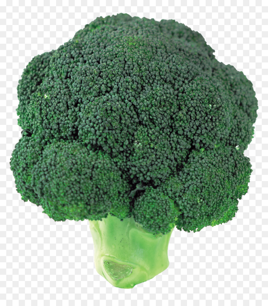 Brocoli Png, Transparent Png - brocoli png