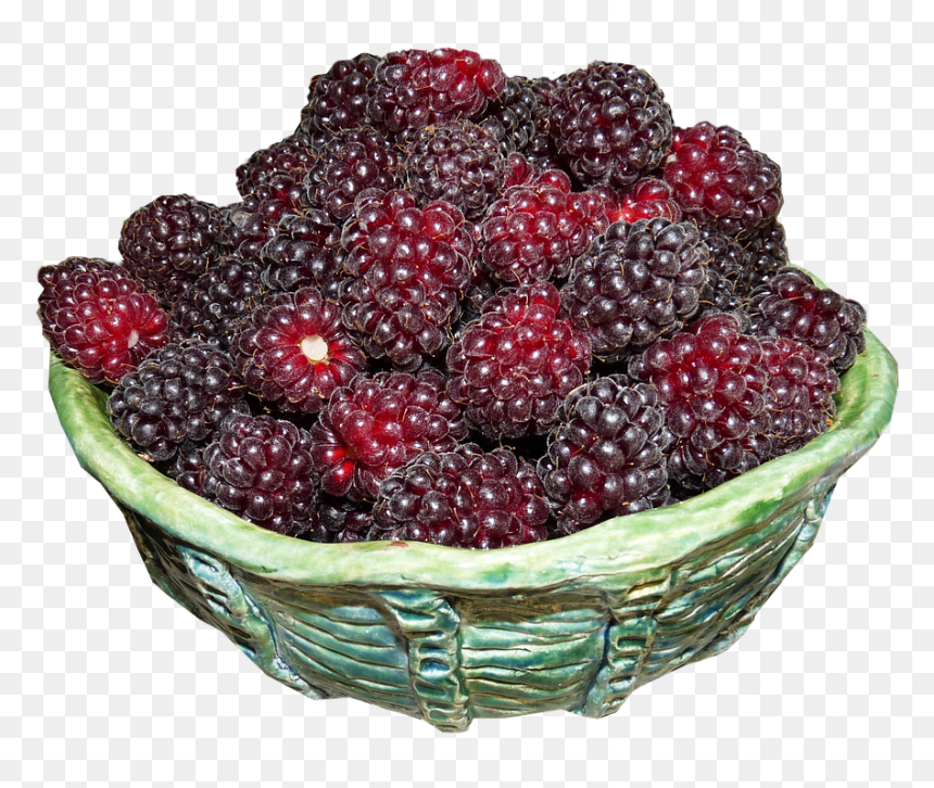 Bowl Of Berries Png, Transparent Png - blackberries png