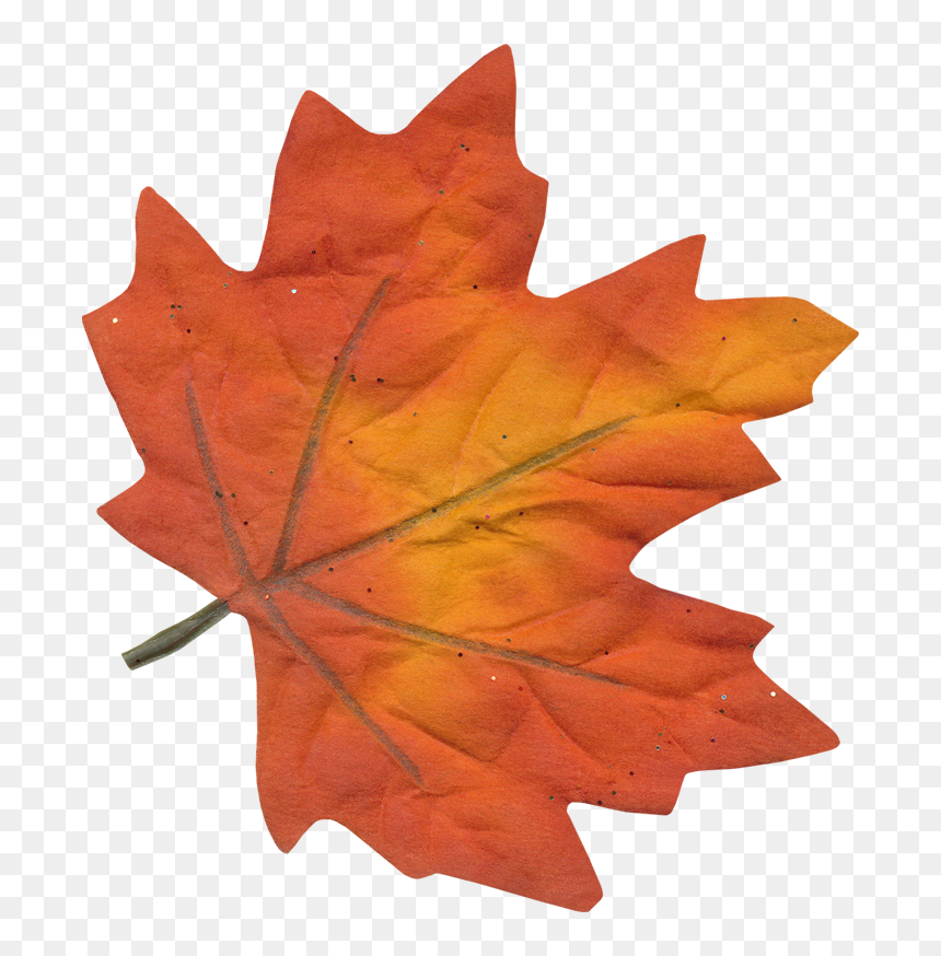 Фотки Art Floral, Sissi, Tapis Houqué, Clip Art, Herbe, - Painting, HD Png Download - red leaf png