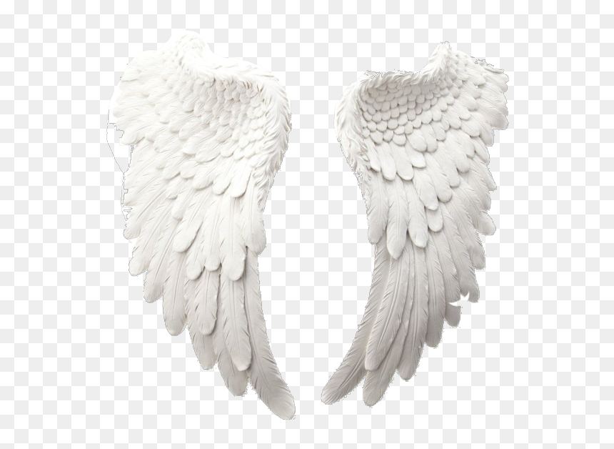 Image - Angel, HD Png Download - angel wings png tumblr