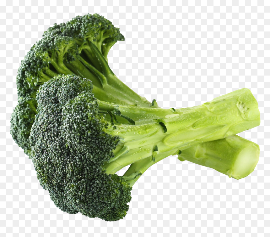 Broccoli, HD Png Download - brocoli png