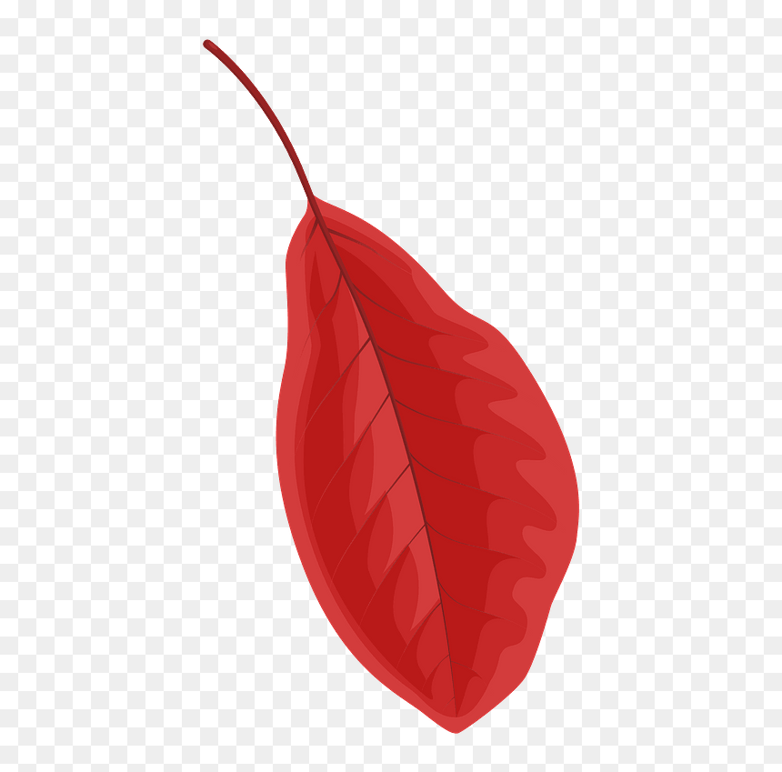 Black Tupelo Red Leaf Clipart - Illustration, HD Png Download - red leaf png