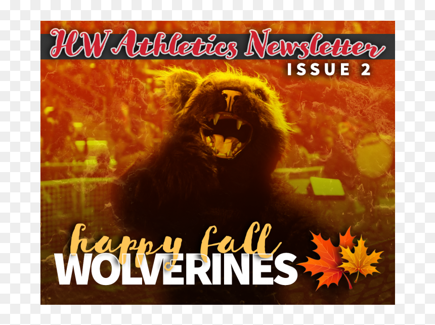 Poster, HD Png Download - wolverine animal png