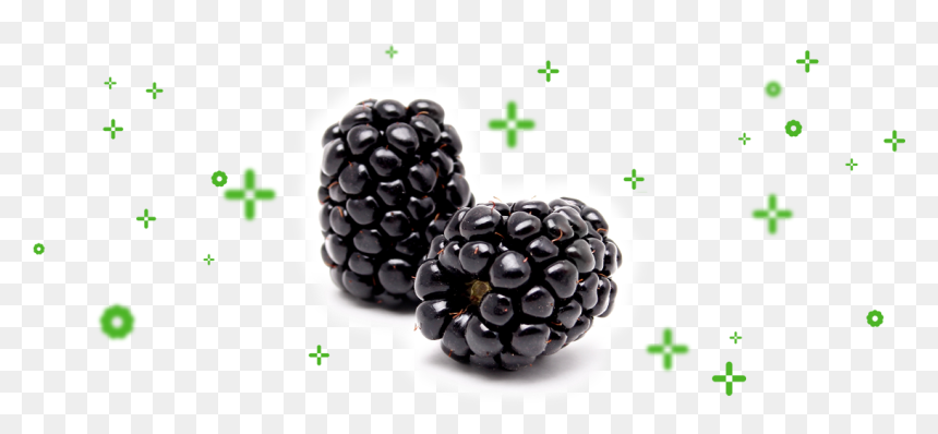 Mora En Español Y Ingles, HD Png Download - blackberries png