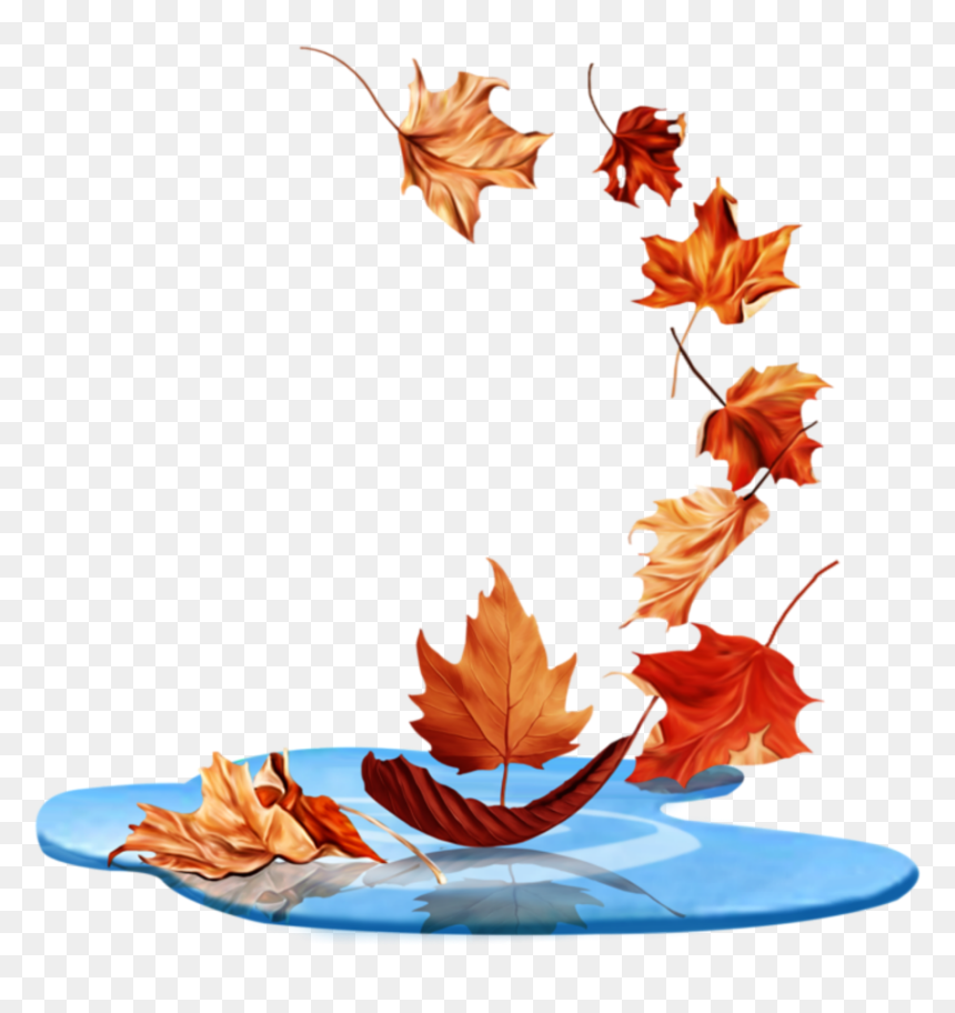 Maple Leaf, HD Png Download - fall leaves falling png