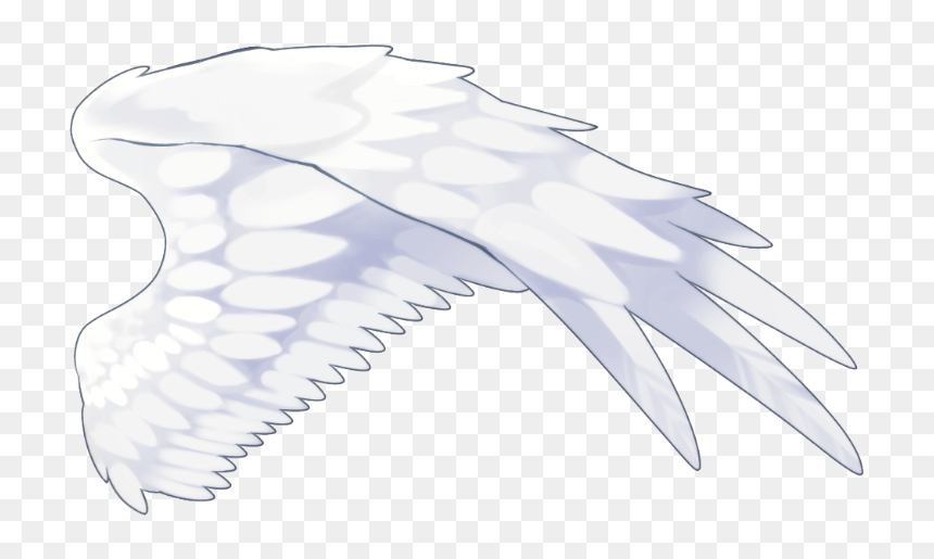 #wing #wings #angel #angelwings #whitewings #aesthetic - Paper, HD Png Download - angel wings png tumblr