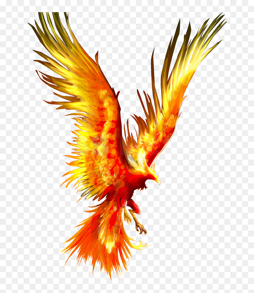 Tattoo Fireworks Mythology Firebird Phoenix Download - Phoenix Firebird, HD Png Download - phoenix wings png