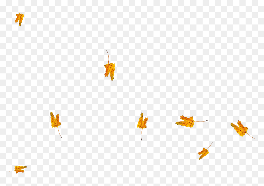 Illustration, HD Png Download - fall leaves falling png