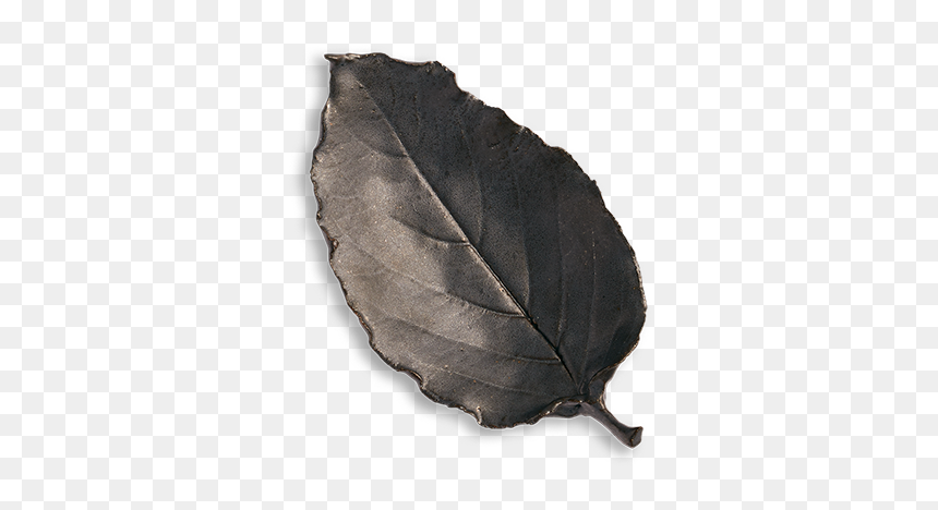 Umbrella, HD Png Download - fall leaves falling png