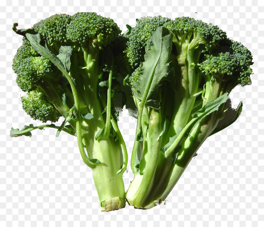 Broccoli Dsc00861 - Foods Containing Fluoride, HD Png Download - brocoli png