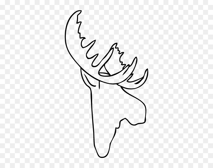 Whitefauxtaxidermy Moose Head Fully Assembled Instructions - Line Art, HD Png Download - moose head png