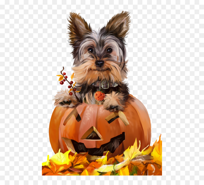 Happy Halloween With Animals, HD Png Download - halloween .png