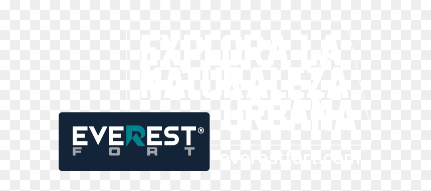 Termos Hieleras Everestfort - Graphics, HD Png Download - lineas de colores png
