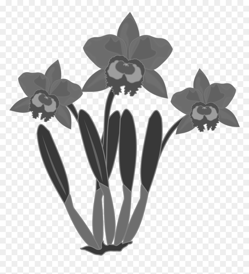 Flowers Public Domain, HD Png Download - black and white flowers png