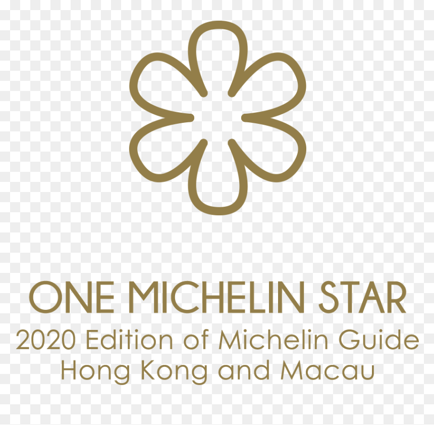 Circle, HD Png Download - michelin logo png