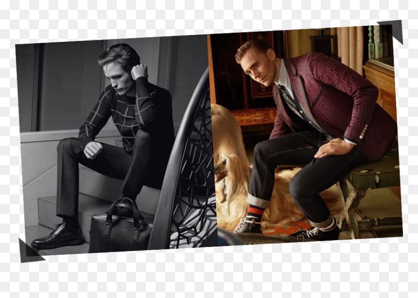 In Case You Missed It - Tom Hiddleston Gucci Campaign, HD Png Download - tom hiddleston png