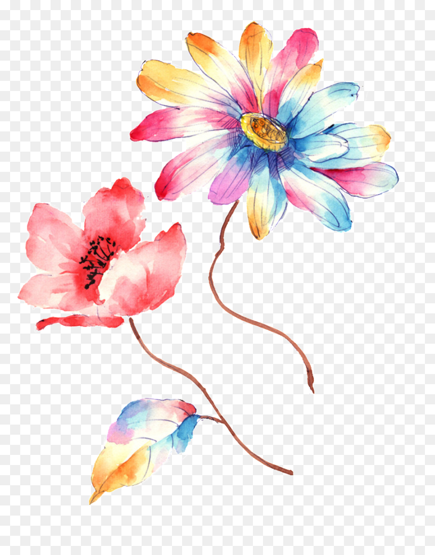Colorful Gradient Hand Drawn Chrysanthemum Decorative - Artificial Flower, HD Png Download - colorful flowers png