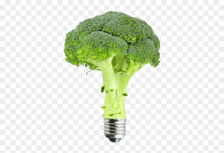 Broccoli Renewable Energy Bulb - Broccoli, HD Png Download - brocoli png