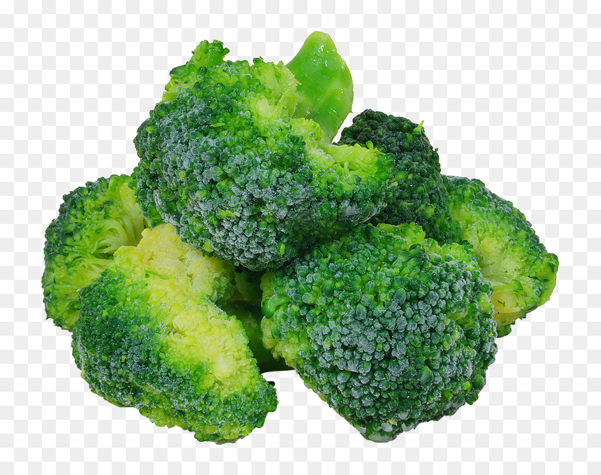 Broccoli, HD Png Download - brocoli png