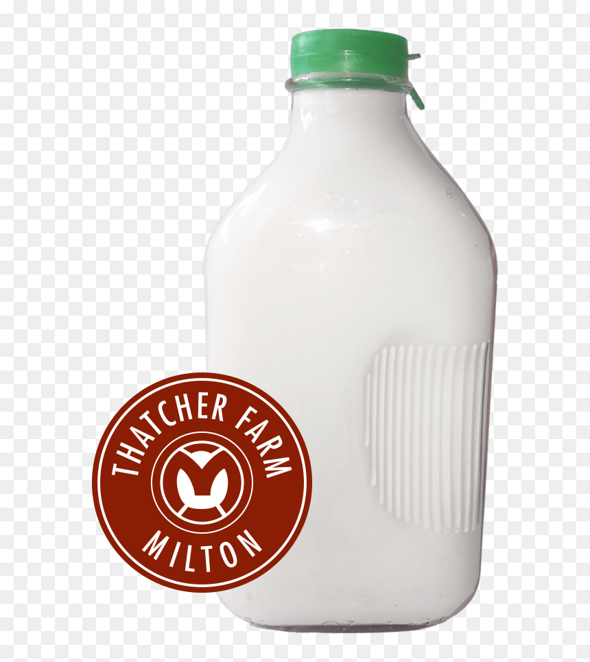 1/2 Gallon Fat Free - Plastic Bottle, HD Png Download - milk gallon png