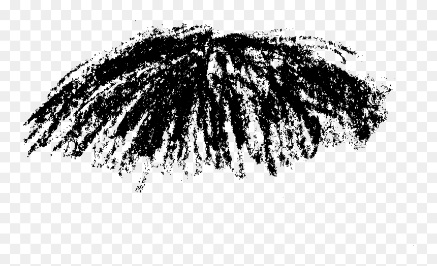 White Pine, HD Png Download - mustach png
