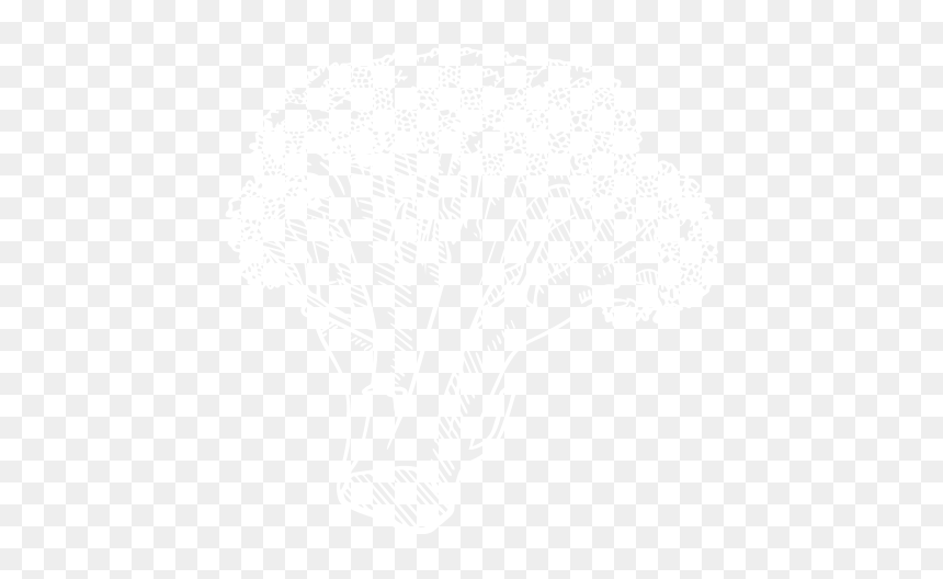 Broccoli - Black And White Broccoli Png, Transparent Png - brocoli png