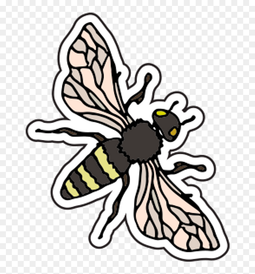 Pastel Clipart Bee - Net-winged Insects, HD Png Download - cartoon bee png