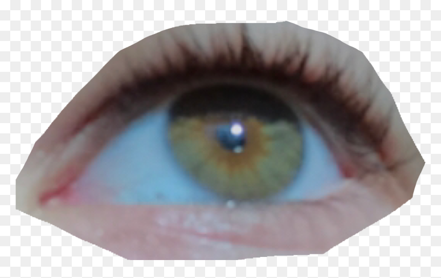 Close-up, HD Png Download - brown eye png