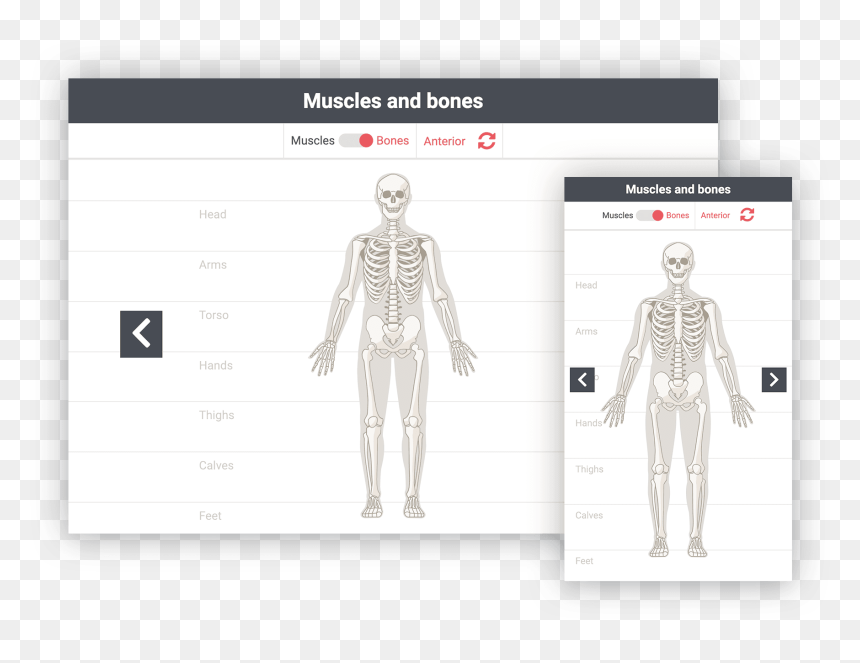 Man, HD Png Download - muscle arms png